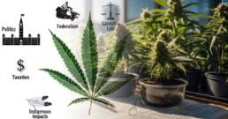 Impact of Legislation on the Cannabis Industry